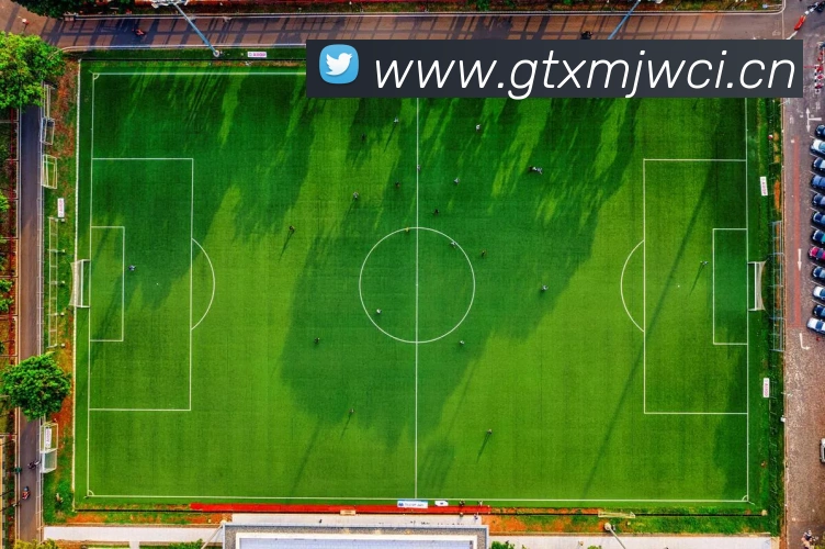 星空体育中国官方网站平台生态图